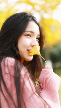 24fa触屏版白金版特色功能